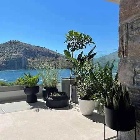 Thea Luxury Τολό