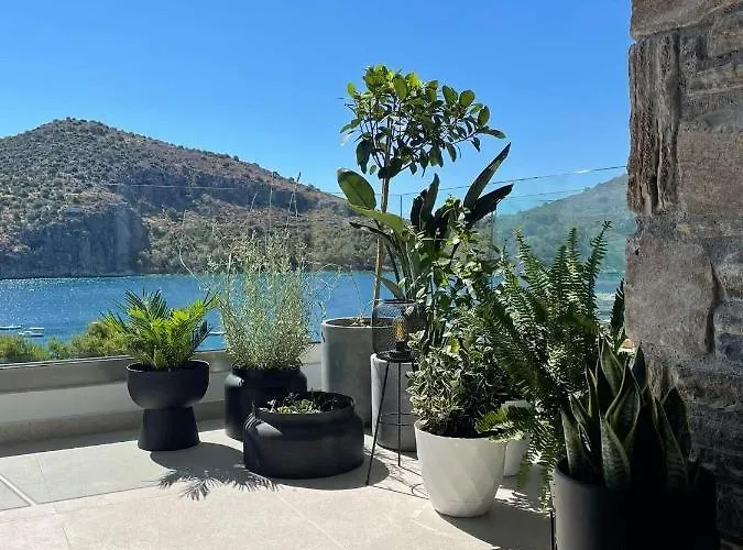 Thea Luxury Τολό